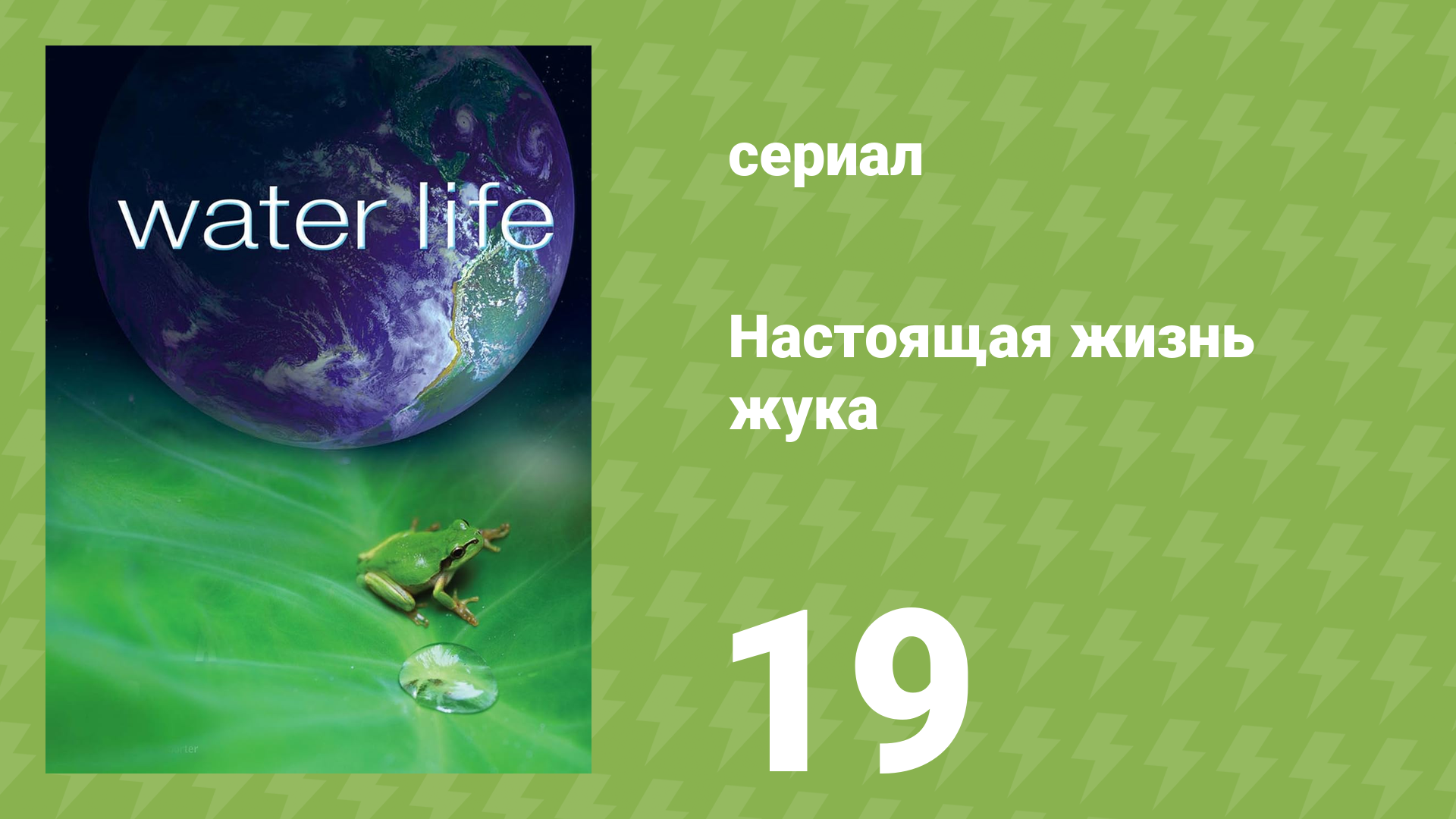 Водная жизнь 19 серия «На морском дне» (документальный сериал, 2009)