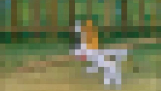 рекс 8 bit