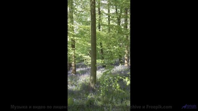 Мелодия ведёт сквозь горы, поля и реки - Невзялазь -- Фиорд -- Невзялазь