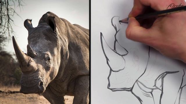33. demo-light-and-shadow-line-weight