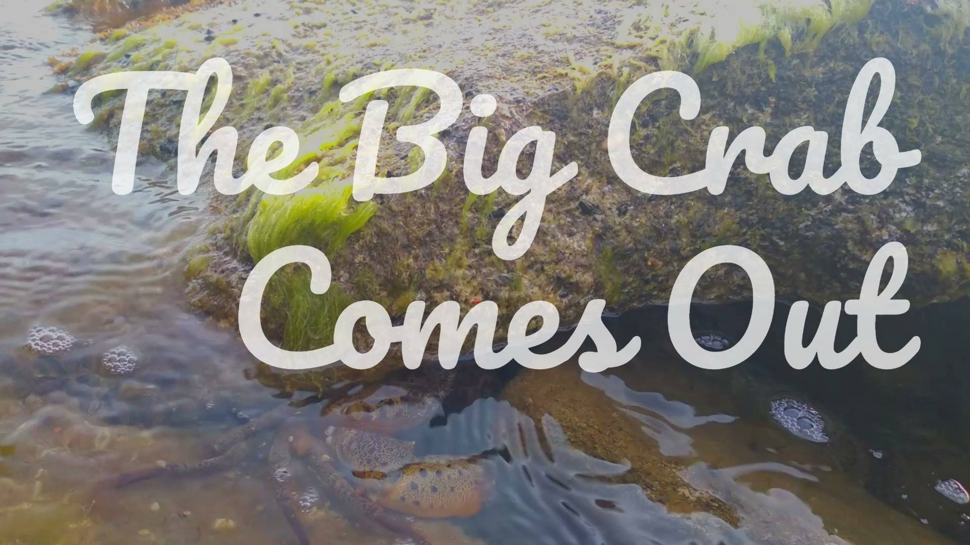The Big Crab Comes Out
