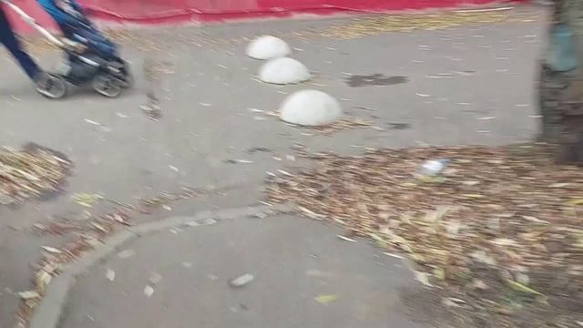 Снег можно складировать на газонах и свободных территориях только при сохранении зеленых насаждений