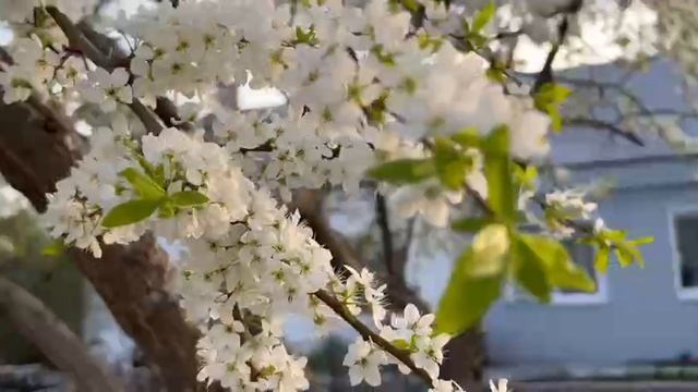 Кадры лета