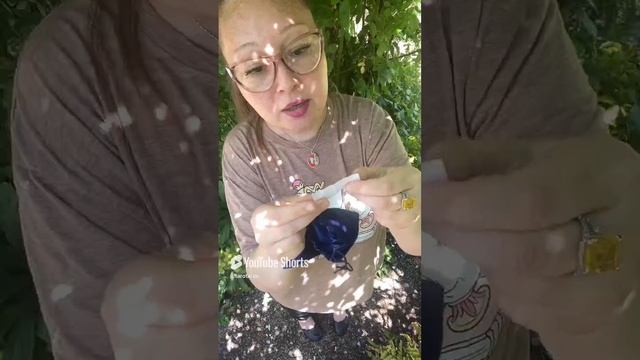 Достаю записки с предсказаниями из старого мешка #гадание #tarot #predictions #gadanie #гадать