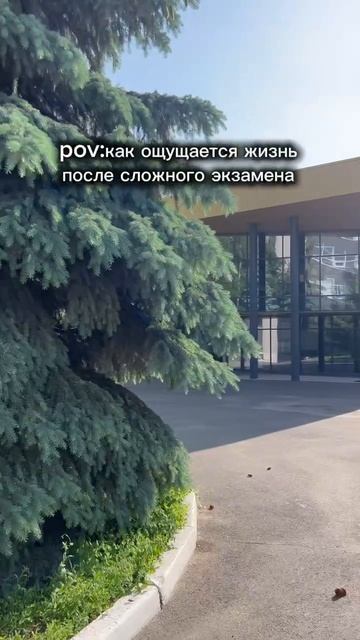 pov: как ощущается жизнь после сложного экзамена