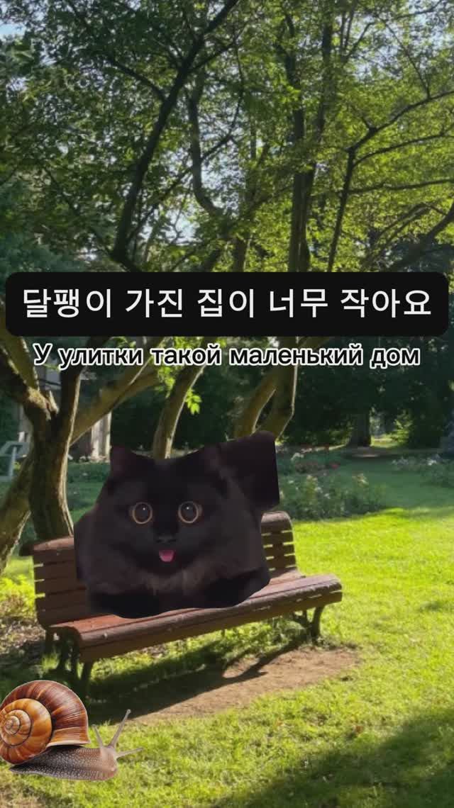 -(으)ㄴ 
"서울대 한국어" 2A 2과 취미가 뭐예요?