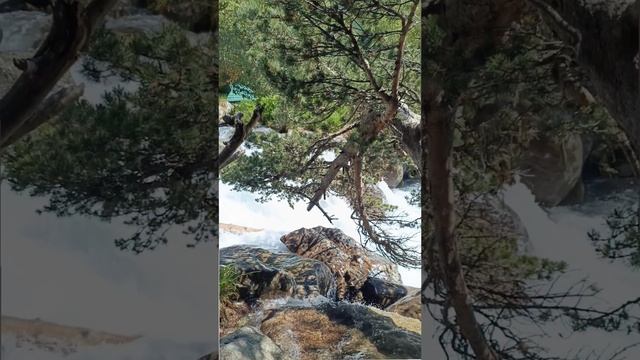 Туманлы кел, Домбай