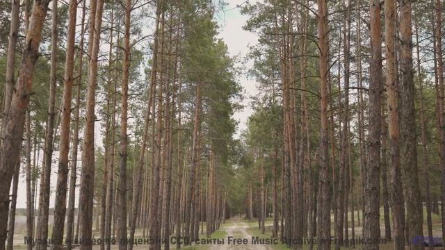 Ты НЕ ЗНАЛ, что Земля ТАКАЯ! - The Bright Lights of Summer -- Nihilore -- Best of 2020-2024