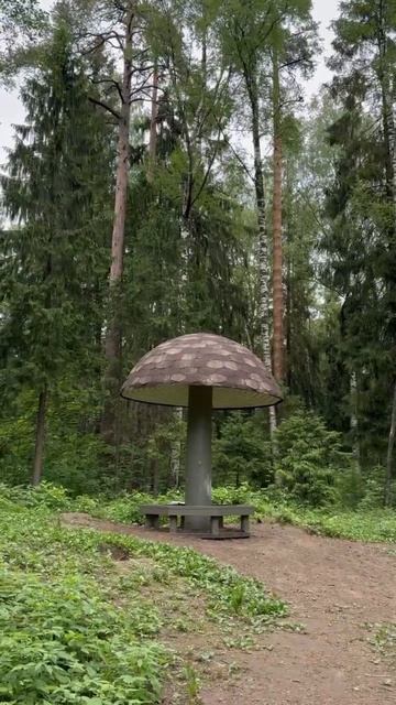 Ой, бы бы бы бы бы