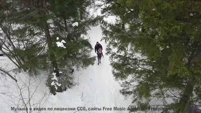 Саунд делает природу ближе, чем когда-либо - Things Change -- HoliznaCC0 -- Forager Pt 2