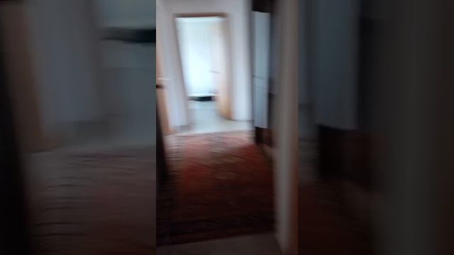 VID-20250619-WA0065