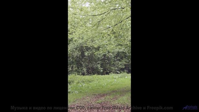 Мелодия ведёт сквозь горы, поля и реки - Floating Up From The Cubicle -- Podington Bear -- The Hump