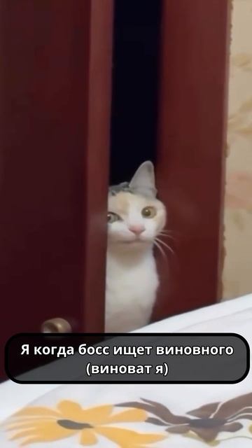 3-дневный интенсив "Система X10" — 10 инструментов управления! #менеджмент