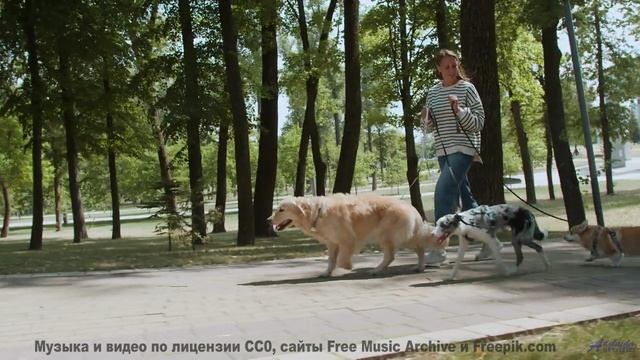 Поля и музыка заставляют забыть про реальность - Aniseed Grove -- One Man Book -- Life is a Language