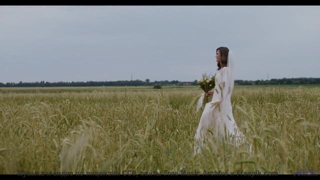 Почему это видео СМОТРЯТ 247 - Stealing Glimpses Of Your Face -- HoliznaCC0 -- We Drove All Night