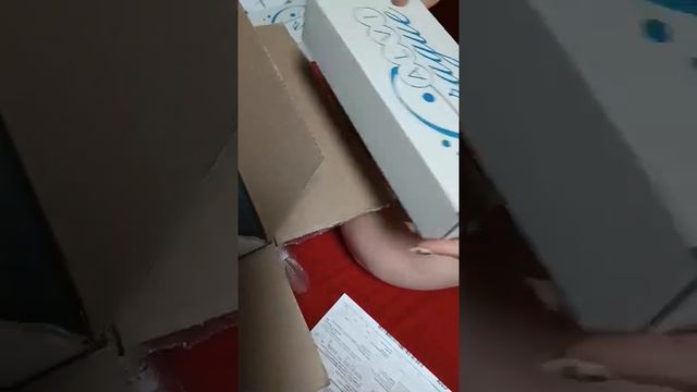 Распаковка аппарата микротоковой терапии T-15