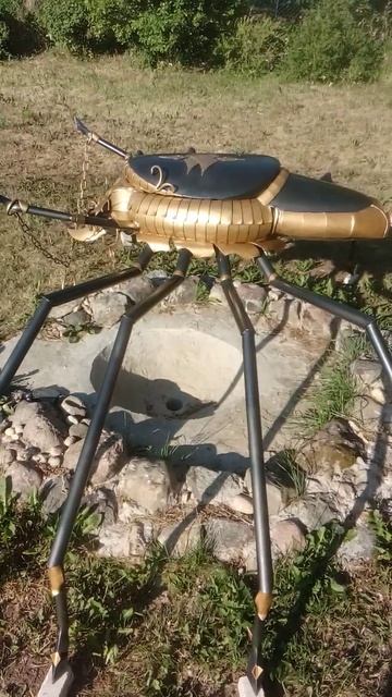 VID_20230619_072901.3gp
