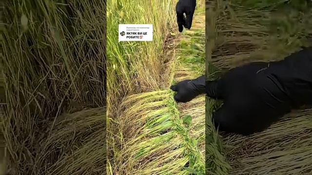 Когда любишь вязать полями