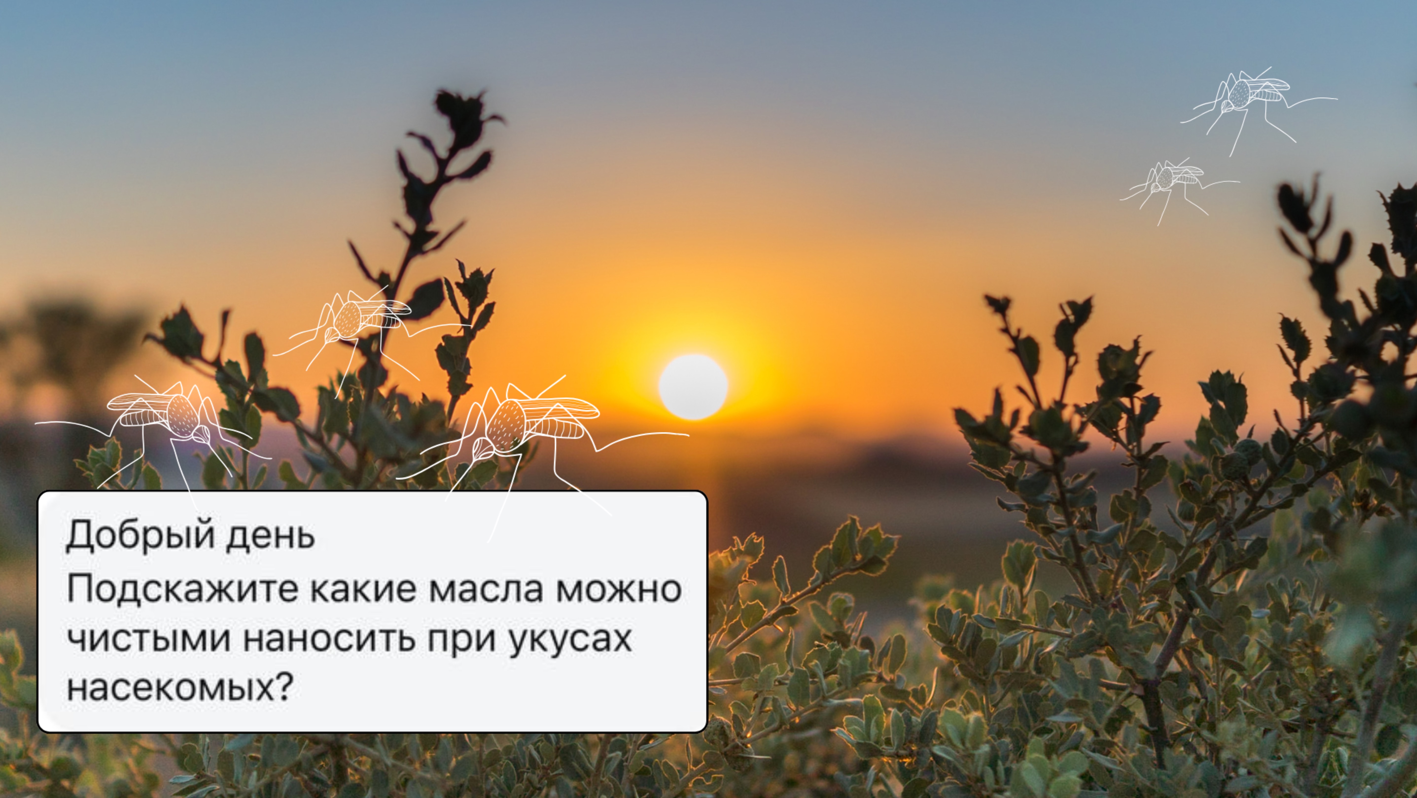 🦟 Комары, мошки, осы? Держитесь крепче! 🌿