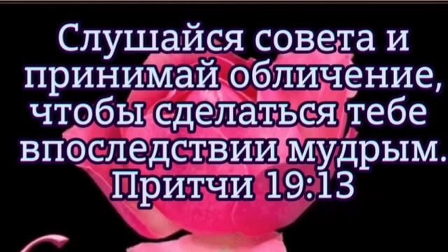 VID_20250620_042047_438.mp4