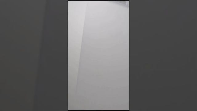 video5379622271121911770