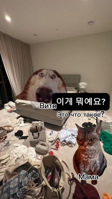 (으)ㄴ 편이다/는 편이다 
"서울대 한국어" 2В 12과 저는 좀 조용한 편이에요
