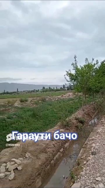 ГАРАУТИ
