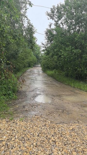 дождик лето 🏖️