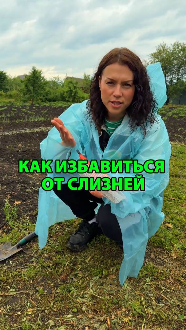 Как избавиться от слизней на даче?