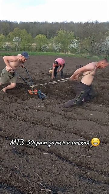 Плуг на человеческой тяге