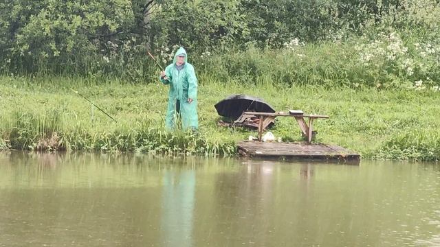 Светлые Горы Сом обрыв 20.06.2025г