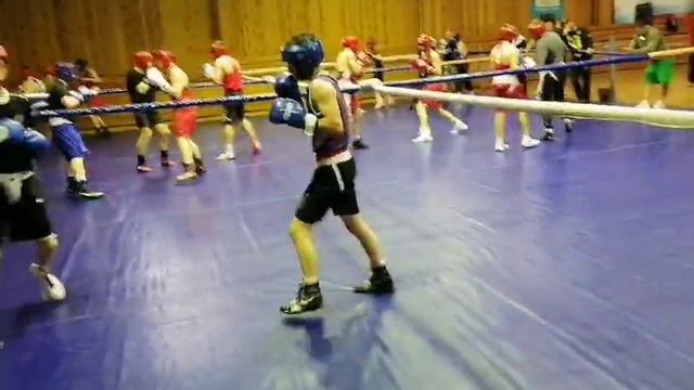 Вольные бои спортцентр бои смотреть
