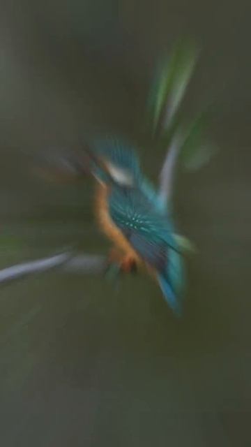 -582849021916214650648965