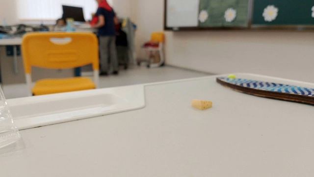 Кто-то украл ребнка хомяка