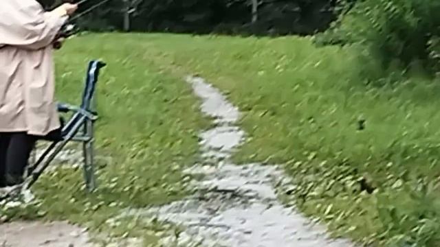 1000030911.mp4