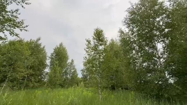 РМЭ, г. Йошкар-ола, д. Шоя-Кузнецово
