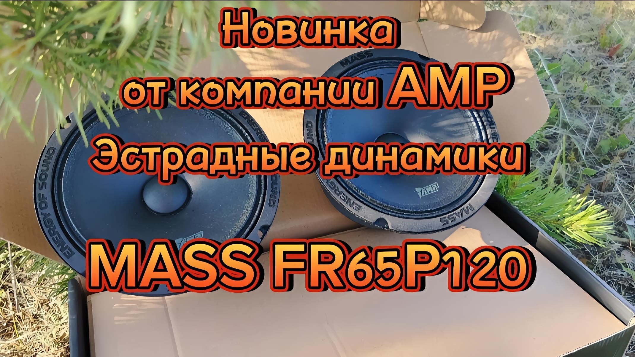 Акустика эстрадная AMP MASS FR65P120