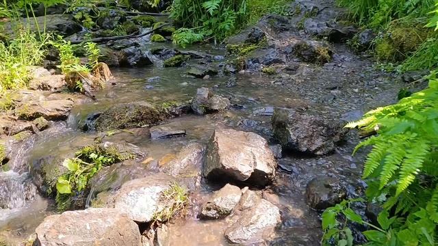 Черемшанский водопад 2025