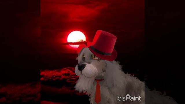 обработка дог сим (собака в красном)