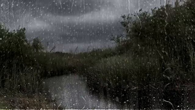 Мелодия дождя: вечерняя симфония природы, покой и дождь