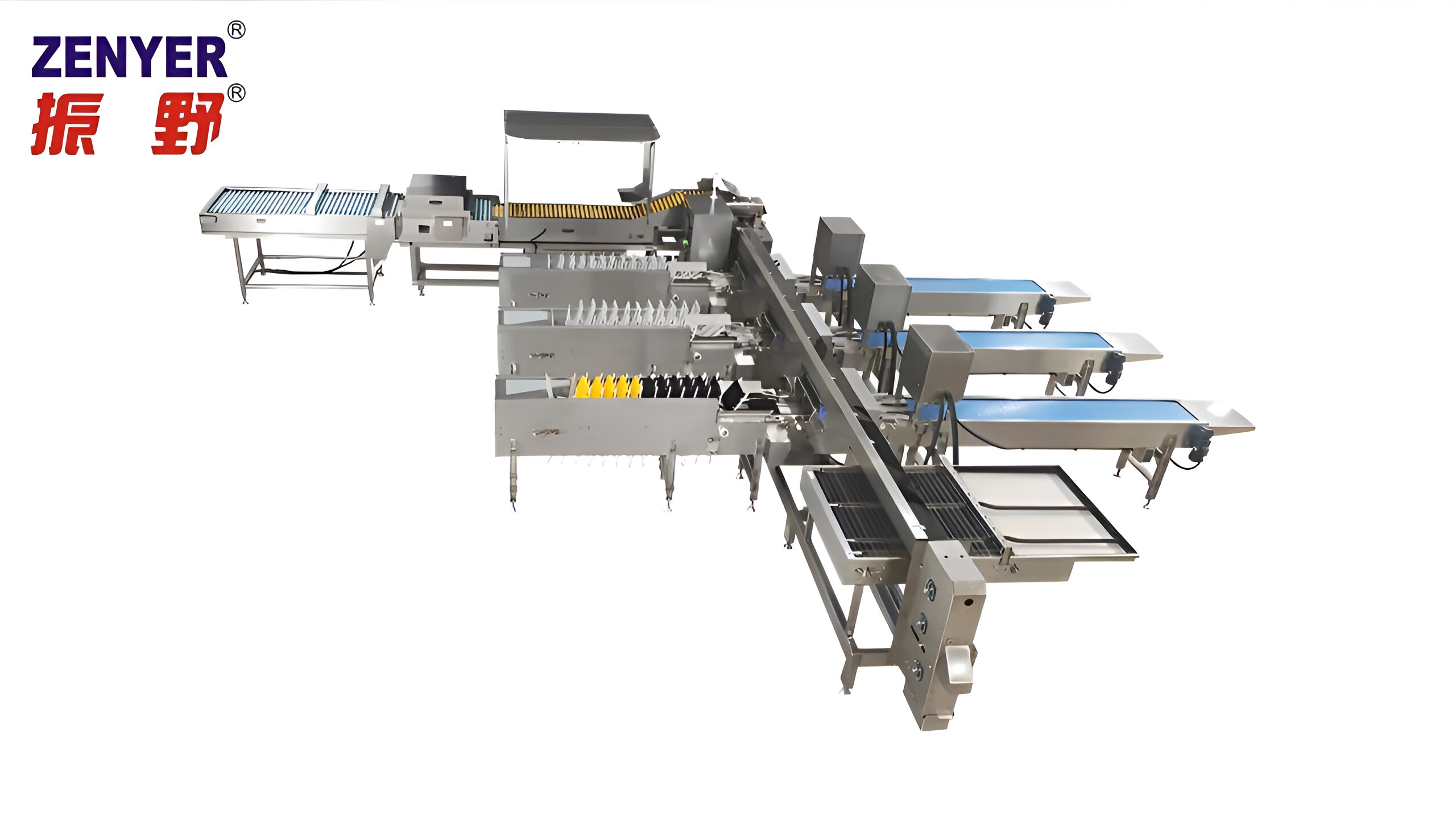 Zenyer 109 egg grader with auto vacuum loader 27000 eggs/hour