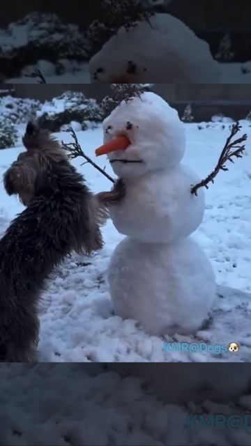 Сказывается зимний авитаминоз🥕😂