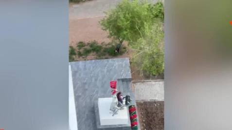 Девушка осквернила памятник красногвардейцам и партизанам в Улан-Удэ