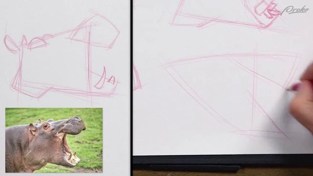 48. demo-simple-animal-portraits-level-2
