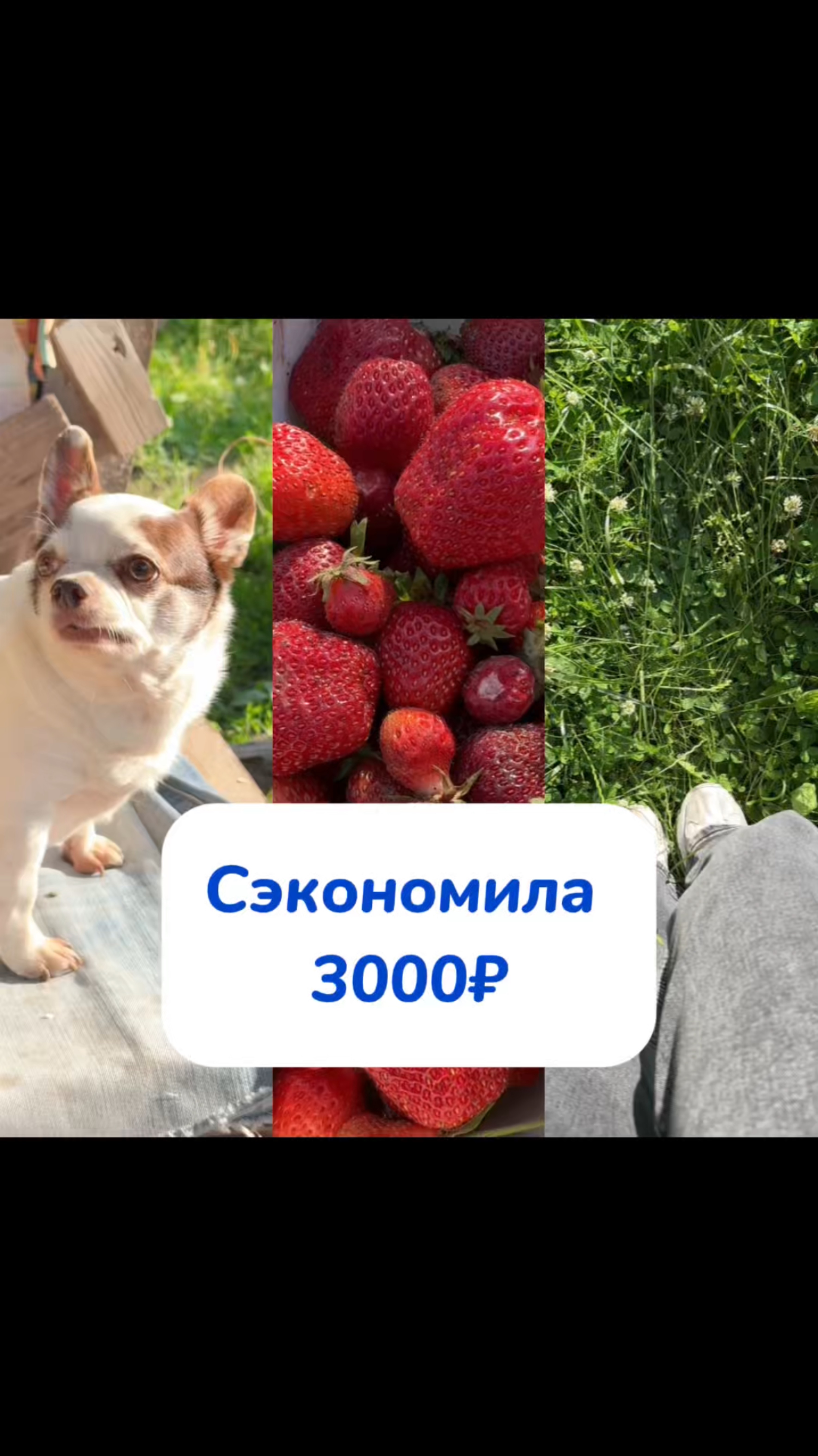 Кислородный карандаш-справится с любыми пятнами! WB #166670400
Ozon #1159756433