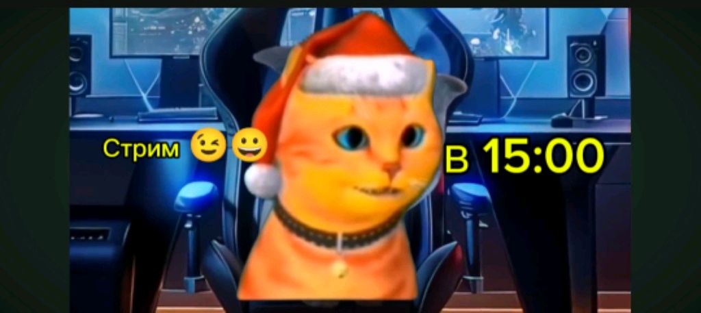 ИГРИВЫЙ кот