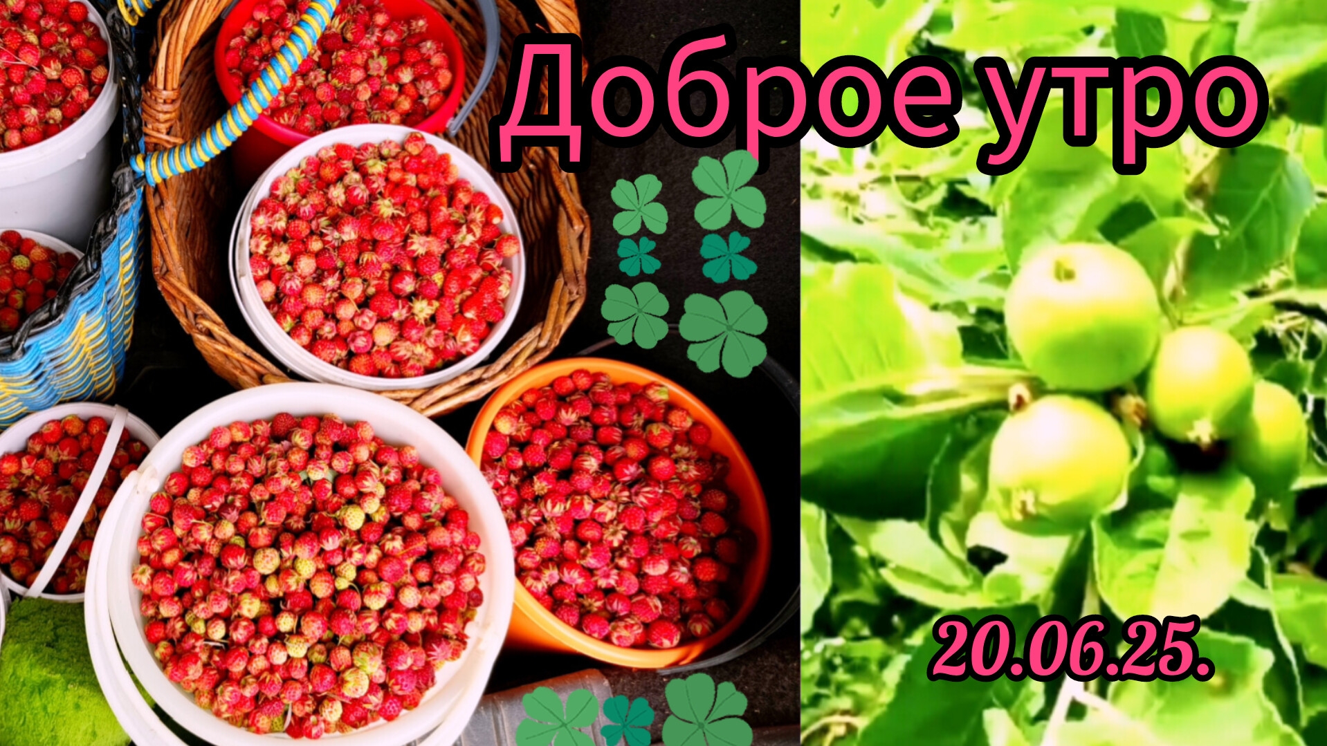 #доброе утро 20-06-2025 #прогулка #поговорим #жизнь инвалида