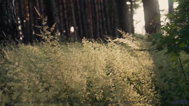 Ты НЕ ЗНАЛ, что природа ТАКАЯ! - What We Want -- Johannes Weber -- Unnamed album