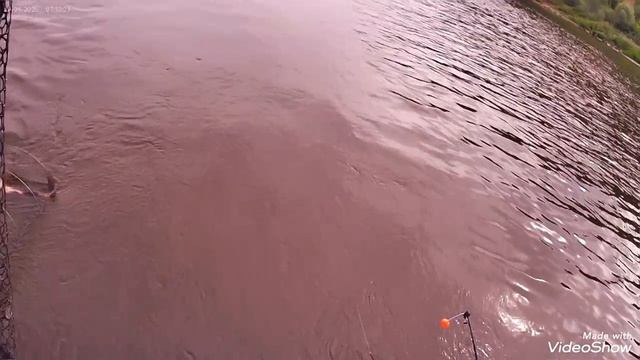Первая рыбалка на оке после запрета с лодки.mp4