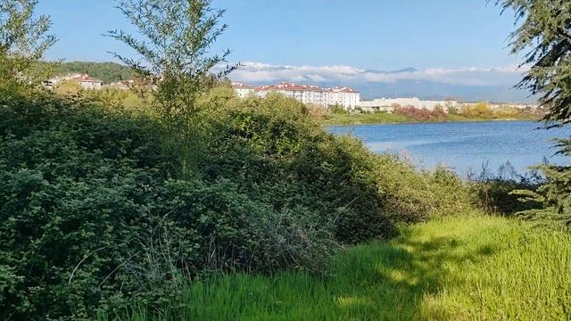 прогулки в олимп парке